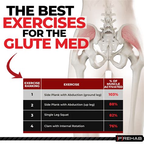 Clam Exercise For Gluteus Medius