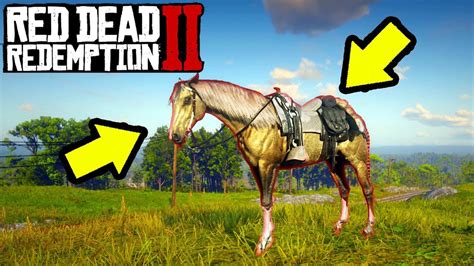 Red Dead Redemption 2 Horses Mods