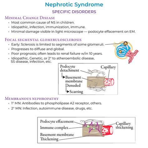 Clinical Pathology Glossary Nephrotic Syndrome Key Pathologies