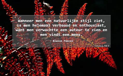 Citaten Met Enthousiast Citaten Quotes Aforismen En Wijsheden