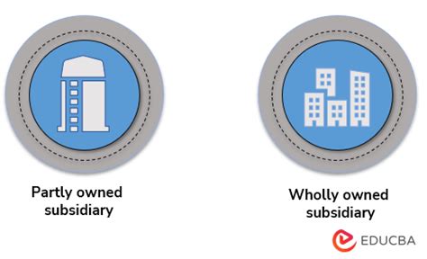 Subsidiary Company How Does A Subsidiary Company Work With Types