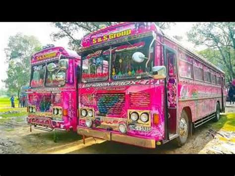 Dham rajina bus video දම් රැජිණි | Bus, Bus games, Adidas wallpapers