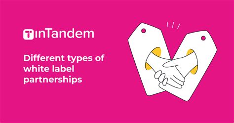 Different Types Of White Label Partnerships Intandem