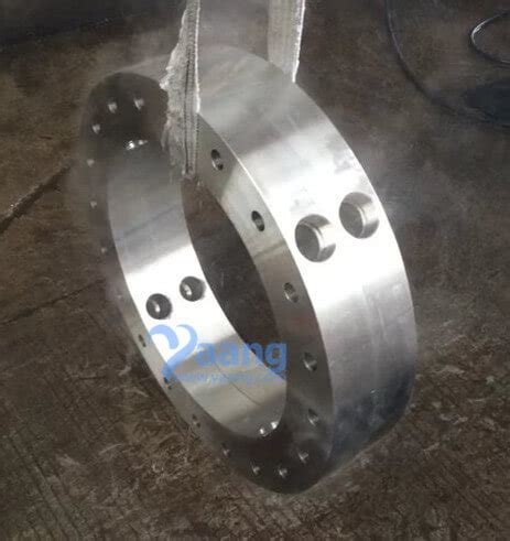 Custom Plate Flange 904L Non Standard Plate Flange Yaang