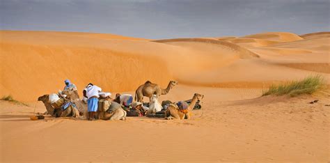 La Grande Traversée de l Adrar Voyage Mauritanie Atalante