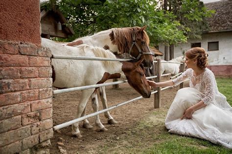 Image libre la mariée Ranch cheveux blonds chevaux les terres