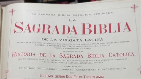 Conoce cuál es el orden correcto para leer la Biblia Los Tubos