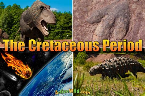 The Cretaceous Period Facts & Info For Kids & Adults: The Ultimate Guide