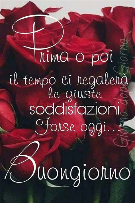 Buongiorno | Buongiorno immagini, Buongiorno, Citazioni buongiorno