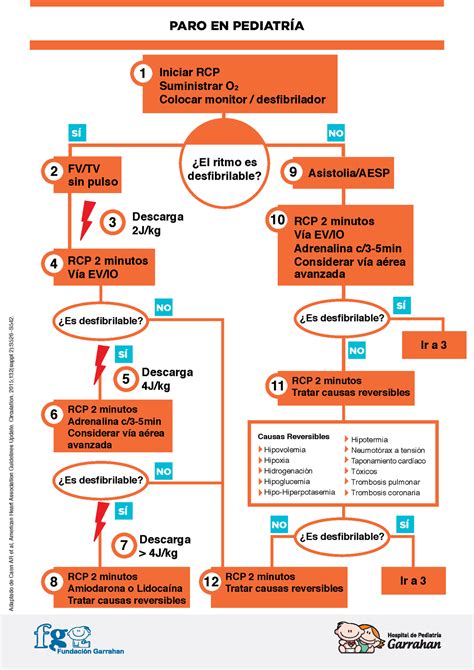 Algoritmos de RCP pediatria PARO EN PEDIATRÍA SÕ SÕ SÕ SÕ SÕ NO NO