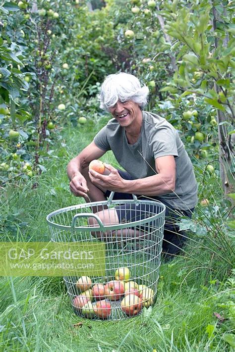 Paul Samuels Harvest Stock Photo By Hanneke Reijbroek Image 1294191