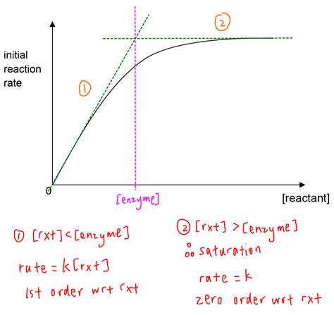 Rate Concentration Graph for Enzyme Catalysed Reaction