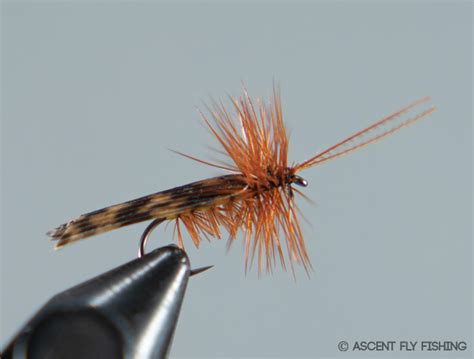 Flies & Streamers - Flies By Family - Caddis Flies - Dry Caddis ...