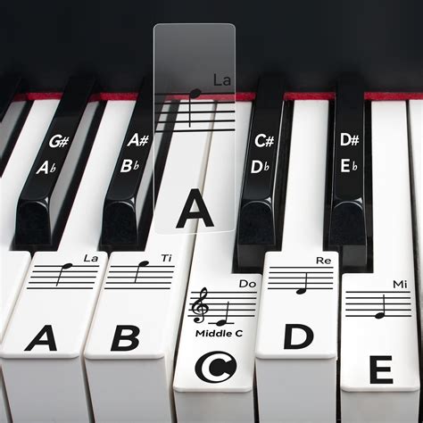 Amazon Qmg Piano And Keyboard Music Note Full Set Stickers For