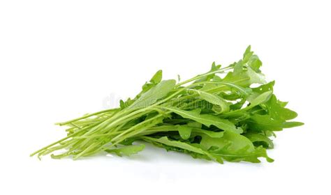 Hojas Frescas De La Lechuga Del Cohete O Ensalada Dulce Del Rucola