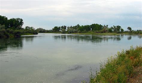 The Bighorn River in Montana : Fly Fishing Information, Photos, & Guide