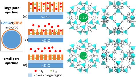 Surface Conversion Of ZnO Tetrapods Produces Pinhole Free ZIF 8 Layers