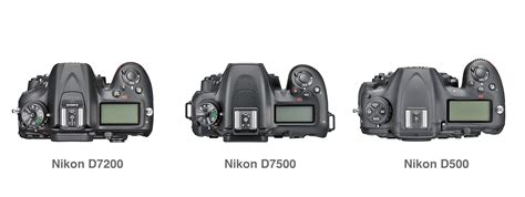 Nikon D7200 vs Nikon D7500 vs Nikon D500 – Comparison | Digital ...