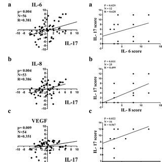 Correlation Between IL 17 And IL 6 IL 8 VEGF In Human Lung