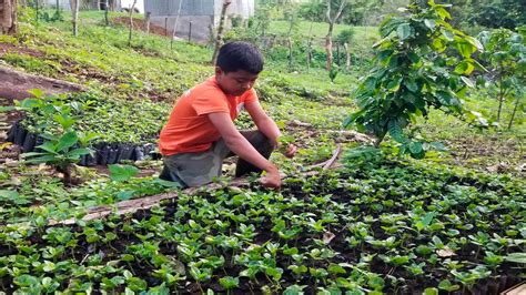 Un Modelo Inspirador De Conservación Ambiental Fundación Hogar Luceros Del Amanecer