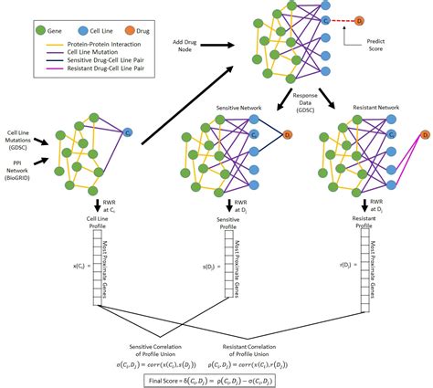 Drug Response Prediction As A Link Prediction Problem Proceedings Of