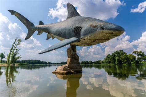 Low Angle Shot Of A Statue Of A Huge Shark In A Water Park Captured On