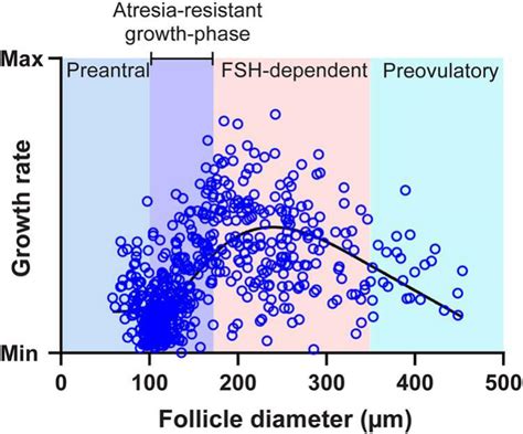 Ovarian Follicle Size Or Growth Rate Can Both Be Determinants Of