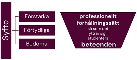 F R Dig Som R Student P L Karprogrammet Sex Rigt Professionellt F Rh Llningss Tt