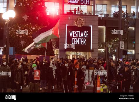 Seattle Estados Unidos De Noviembre De Manifestantes Pro