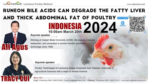 Indonesia Poultry Talks Bile Acids Help Degrade Fatty Liver And