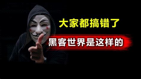 这才是真正的黑客世界！并不是所有的黑客都见不得人！ 白帽黑客 龙哥 白帽黑客 龙哥 哔哩哔哩视频