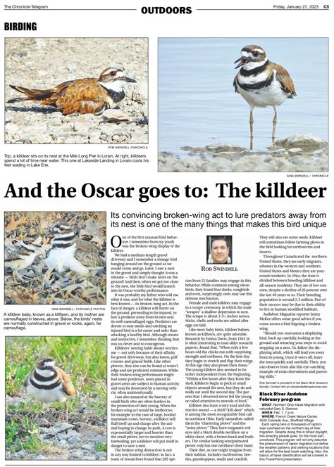 "Winging It" in the Chronicle Telegram — Black River Audubon Society