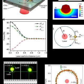 Opto Thermo Electrokinetic Rotation Technique A 3D Schematic