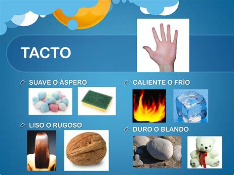 Ppt Los Sentidos Powerpoint Presentation Free Download Id5309279