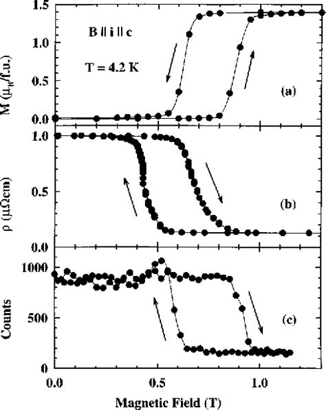 Figure From Uva Dare Digital Academic Repository Gmr And Magnetic