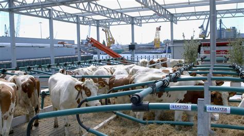 Curiosidade No Agro Conhe A A Primeira Fazenda Flutuante Do Mundo