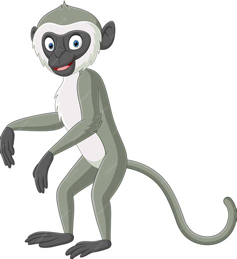 Premium Vector Cute Grey Langur Monkey Cartoon