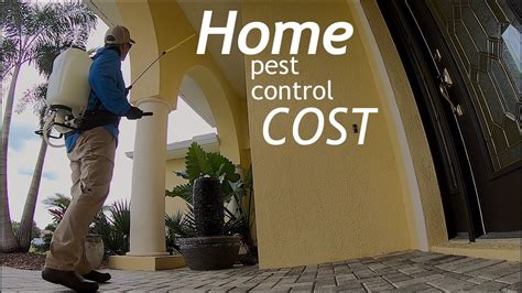 Home Pest Control Costs Diy Pest Control Vs Professional Pest Control