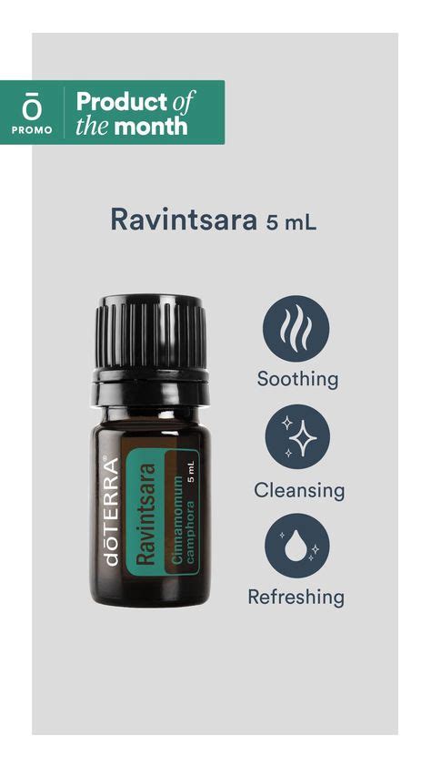 30 Ravintsara Ideas In 2020 Essential Oils Oils Doterra