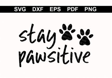 Animal Lover Svg Stay Pawsitive Paws Svg Positive Quotes Svg Etsy