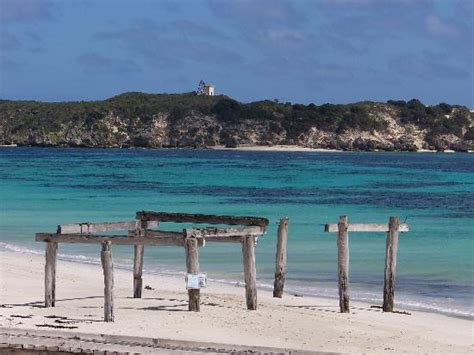 Hamelin Bay, Western Australia - Alchetron, the free social encyclopedia