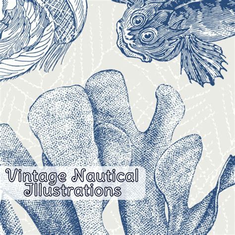 88 Vintage Nautical Illustrations Masterbundles