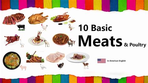 Learn Meats Poultry In English 10 Basic Names With Spelling YouTube