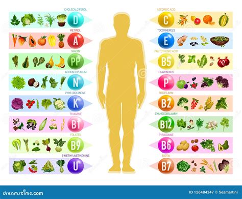 Nutrition Vitamin Chart