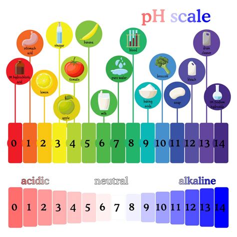 Clean With The Correct PH Value - Professional Cleaners In London