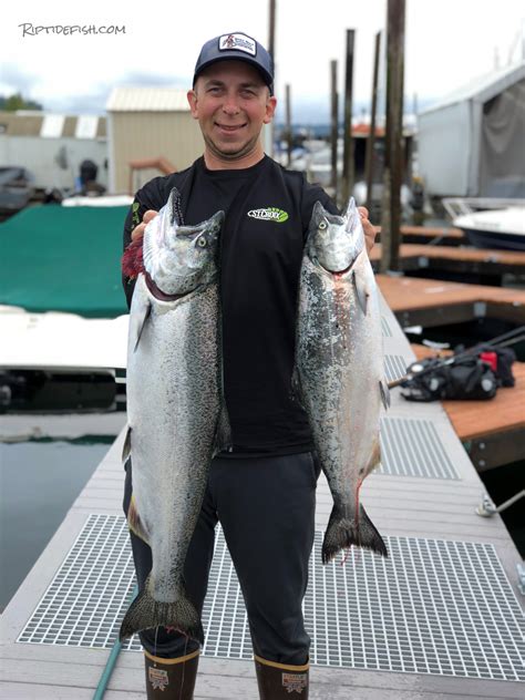 Great Lures For Chinook Salmon Fishing In Puget Sound Riptidefish