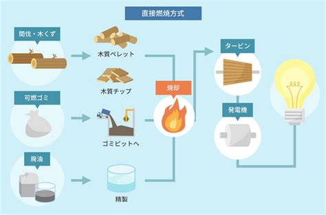 バイオマス発電とは？仕組みについてわかりやすく説明 With You