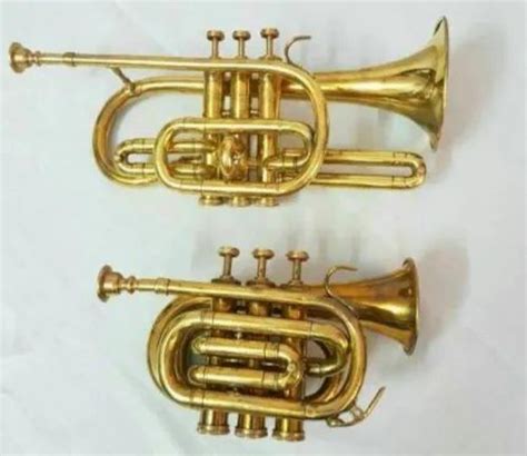 Musical Cornett at Rs 5000 | New Items in Mumbai | ID: 21209067191