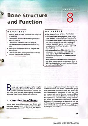 Biol Appendicular Skeleton The Bones Of This Division Are Separated