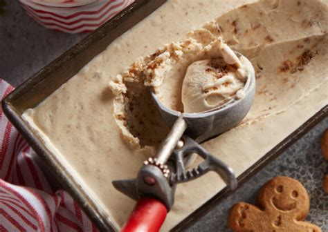 4 Ingredient Gingerbread Cookie Ice Cream Oakhurst® Dairy